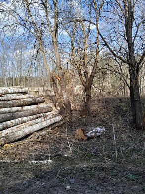 Лесорубы испортили дорогу в Лежневском районе